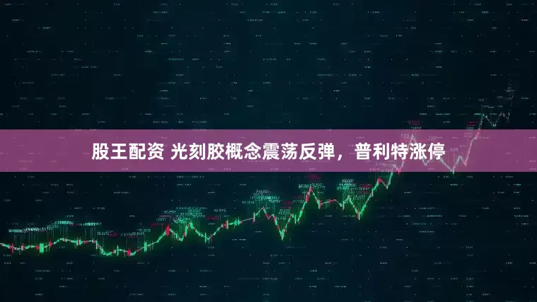 股王配资 光刻胶概念震荡反弹，普利特涨停