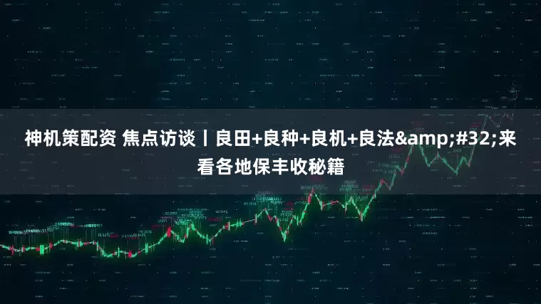 神机策配资 焦点访谈丨良田+良种+良机+良法&#32;来看各地保丰收秘籍